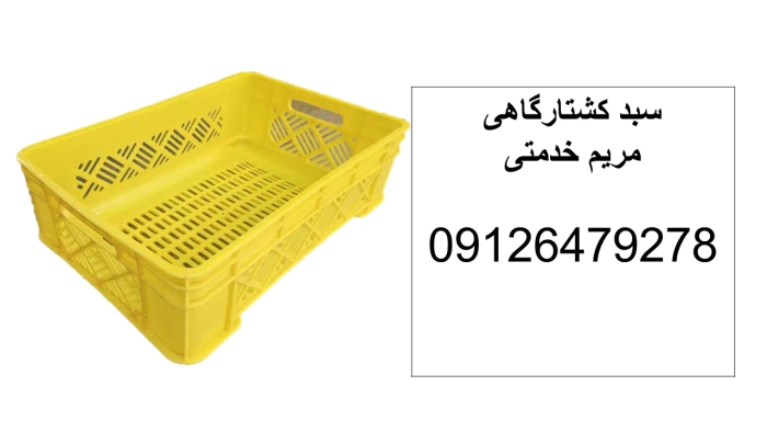 فروش-سبد-کشتارگاهی--سبد1700-گرمی--سبد-مرغ-گرم