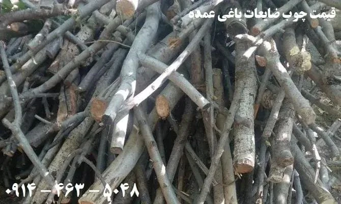 قیمت-چوب-هرس-شده-عمده-(1405)