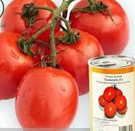 بذر-گوجه-فرنگی-تماته