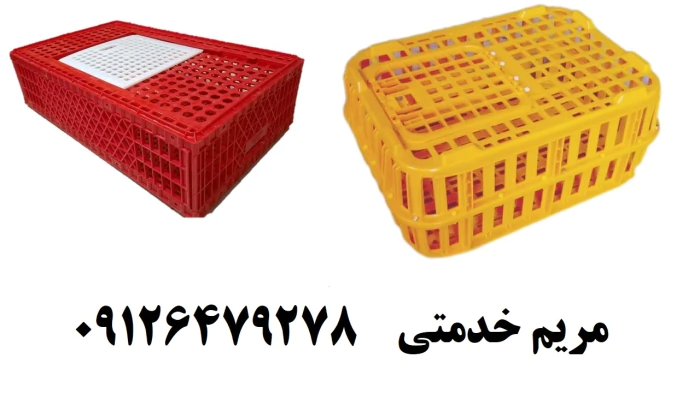 فروش-قفس-مرغ-زنده--سبد-حمل-مرغ--قفس-مرغی