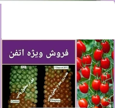 فروش-سم-اتفن