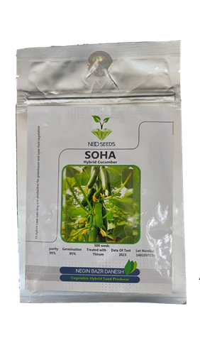 بذر-خیار-اصلاحی-اصفهان-بذر-خیار-سها