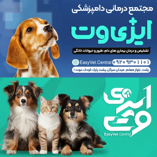 خدمات-درمانی-دامپزشکی-ایزی-وت