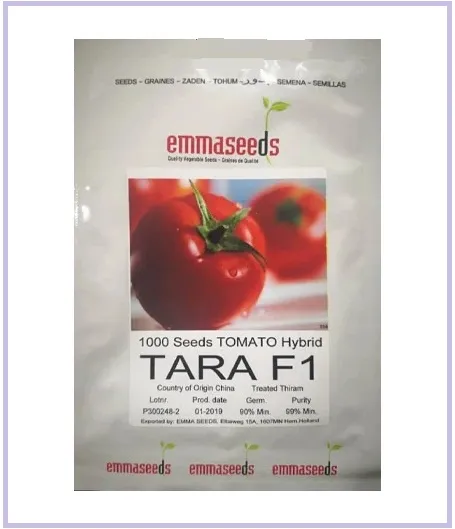 فروش-بذر-گوجه-فرنگی-تارا-tara-f1