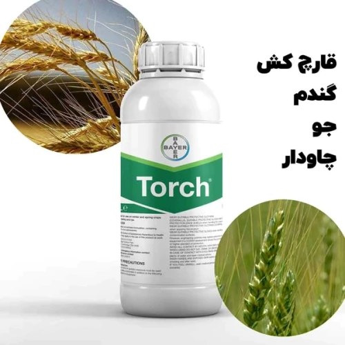 سفارش-عمده-torch-قارچ‌کشی-مزارع-گندم-و-جو