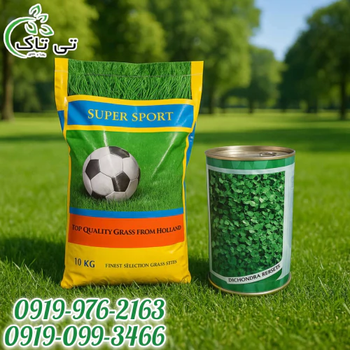 فروش-ویژه-و-مستقیم-انواع-بذر-چمن-و-شبدر-زینتی