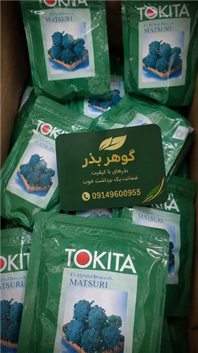 بذر-کلم-بروکلی-ماتسوری--matsuri