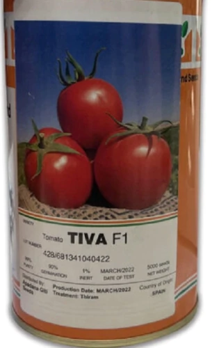 “بذر-گوجه-تیوا-(tiva-f1)”