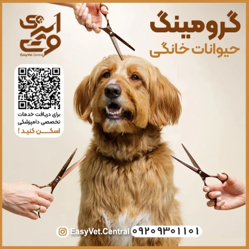 خدمات-گرومینگ-حیوانات-خانگی