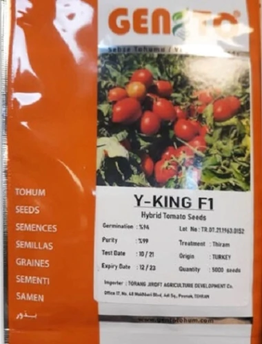 بذر-گوجه-فرنگی-وای-کینگ