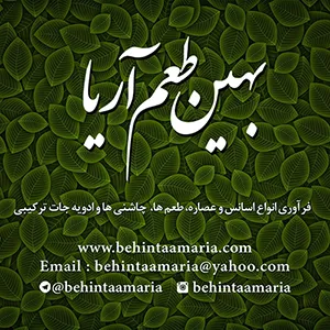 شرکت-بهین-طعم-آریا