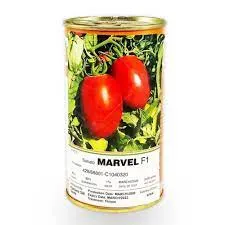 توزیع-و-فروش-بذر-گوجه-فرنگی-مارول