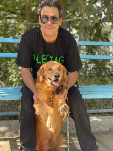 مرکز-فروش-سگ-گلدن-رتریور-حرفه-ای