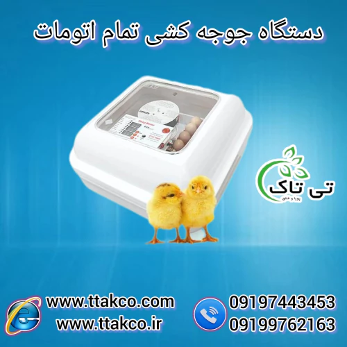 دستگاه-جوجه-کشی--دستگاه-جوجه-کشی-48-تایی-خانگی