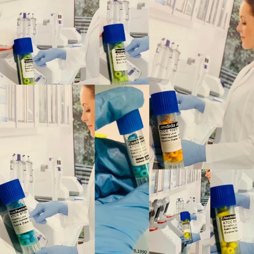 کرایو-بانک-باکتری