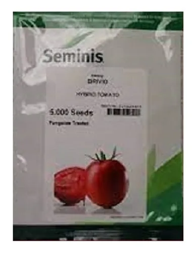 توزیع-بذر-گوجه-فرنگی-بریویو-سمینیس