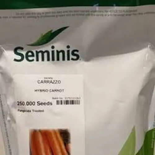 بذر-هویج-کارازو-سیمینس