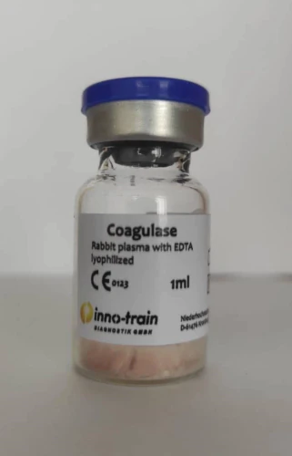 کمپلمان-خرگوش-innotrain