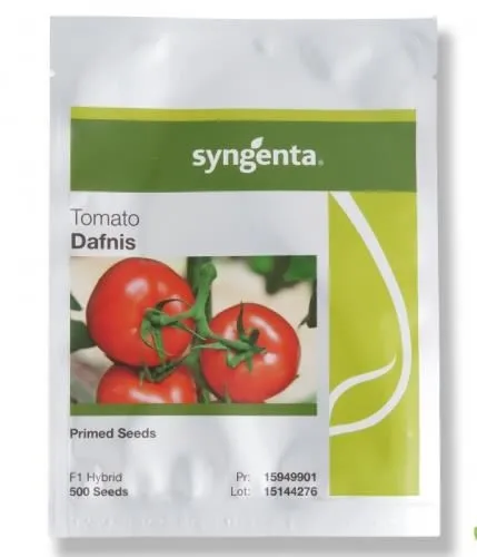 بذر-گوجه-دافنیس-سینجینتا