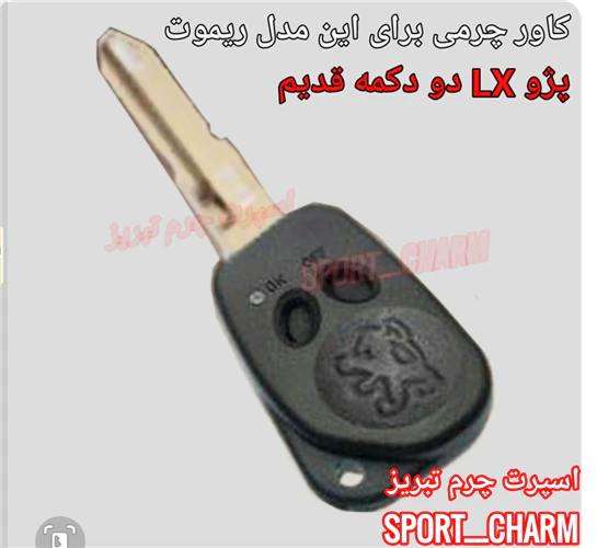 کاور-ریموت-چرمی-پژو-دو-دکمه-قدیم-کد-6