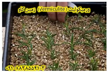 ورميكوليت-(vermiculite)