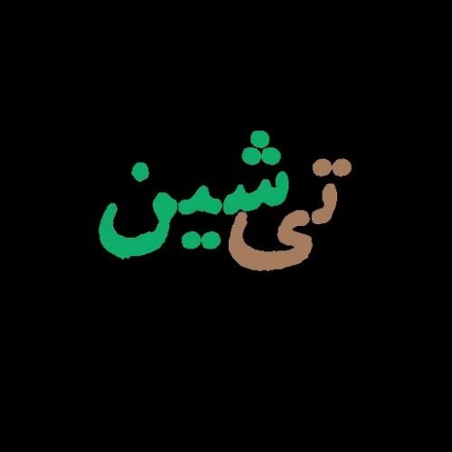 فروشگاه-خشکبار-تی-شین
