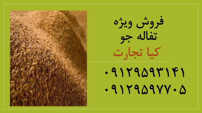 فروش-ویژه-تفاله-جو-کیسه-شده-و-تفاله-جو-فله