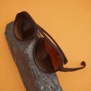 1000 عینک مردانه قهوه‌ای مدل Aras (2024)