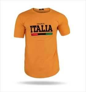 1000 تیشرت مردانه یقه گرد Italia (2024)