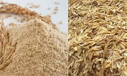 خط فرآوری شلتوک برنج 
