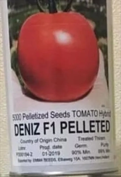 گوجه فضای باز دنیز بذر