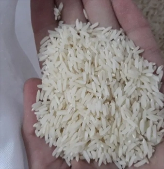 The sale of Tarem Hashemi rice is very uniform