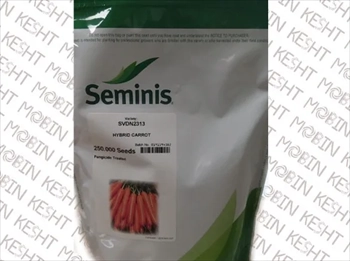 فروش بذر هویج 2313 سمینس
