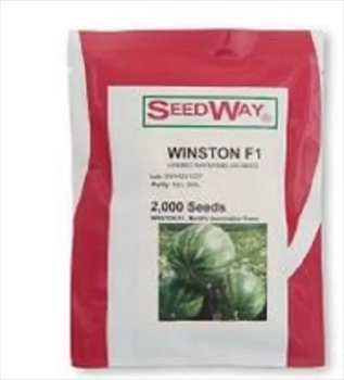 فروش بذر هندوانه وینستون 