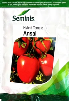 فروش بذر گوجه 8320 سیمینس