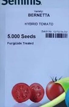 بذر گوجه فرنگی هیبرید برنتا سمینس