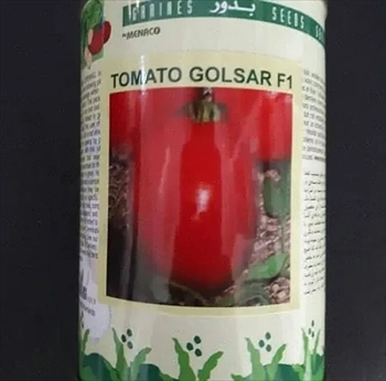 قیمت فروش بذر گوجه فرنگی گلسار 