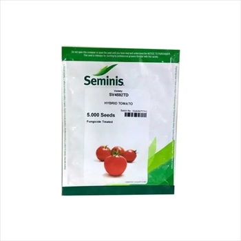 فروش بذر گوجه SV 4592 سمینیس