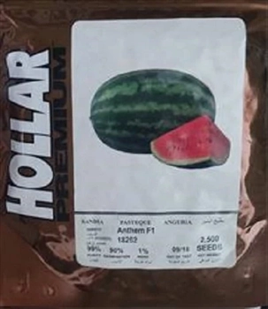 بذر هندوانه آنتم محصول شرکت هولار آمریکا
