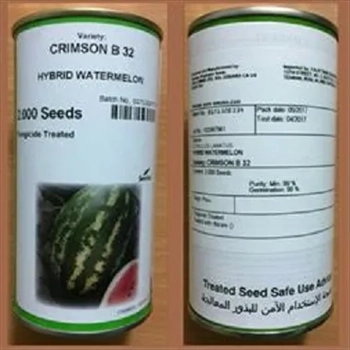 فروش بذر هندوانه b32 