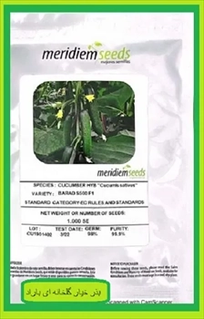 قیمت بذر خیار باراد