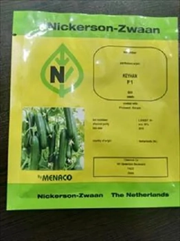 فروش بذر خیار گلخانه ای نیکرسون 485 