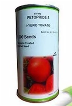 بذر گوجه پتو پراید ۵ 