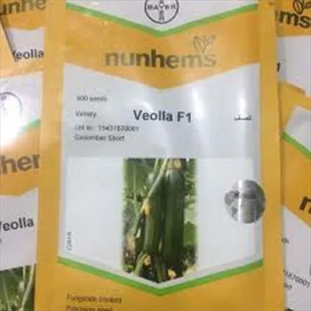 فروش بذر خیار گلخانه ای ویولا 