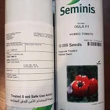 فروش بذر گوجه فرنگی اولا سمینیس