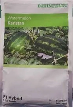 فروش بذر هندوانه کاریستان سینجینتا
