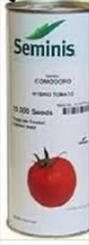 فروش بذر گوجه کومودورو 