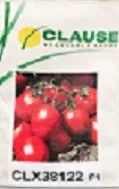 فروش بذر گوجه فرنگی کلوز 38122