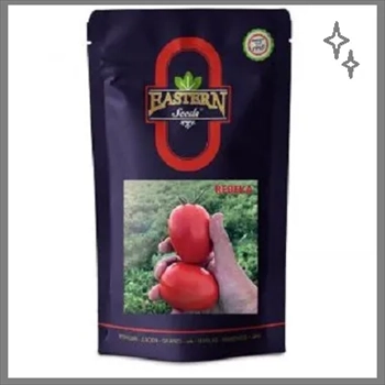 فروش بذر گوجه فرنگی فضای باز ربکا