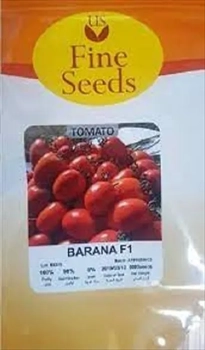 فروش بذر گوجه فرنگی بارانا